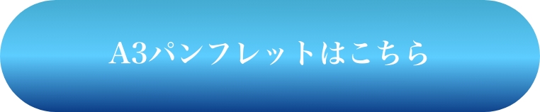 パンフレット